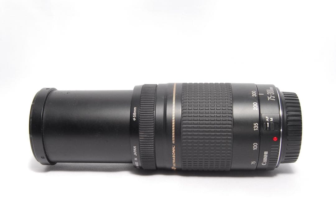 初心者オススメ⭐️ダブルレンズセット⭐️Canon Kiss X3⭐️EF75-300