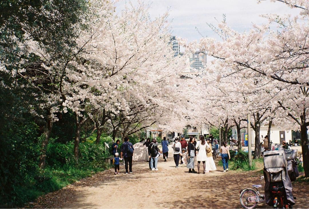 Rollei35・ケース・ストラップ・UVフィルター・変換アダプター・キャップ