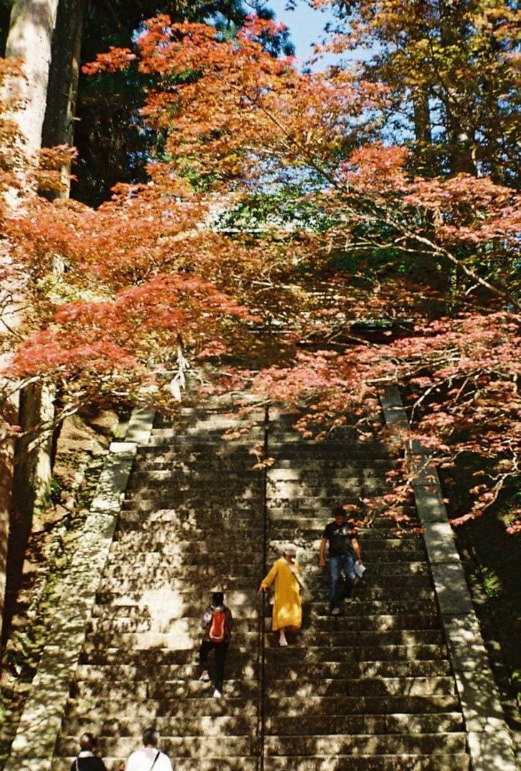 Rollei35・ケース・ストラップ・UVフィルター・変換アダプター・キャップ