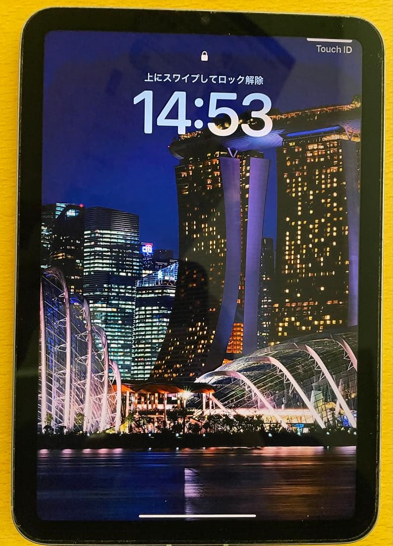 Apple iPad mini (第6世代) 256GB セルラー