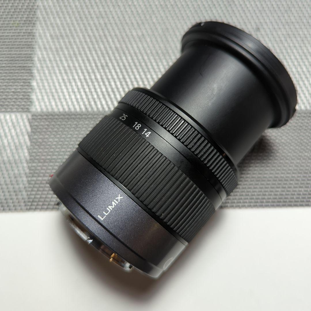 LUMIX DMC-G8 ミラーレス一眼カメラ レンズセット