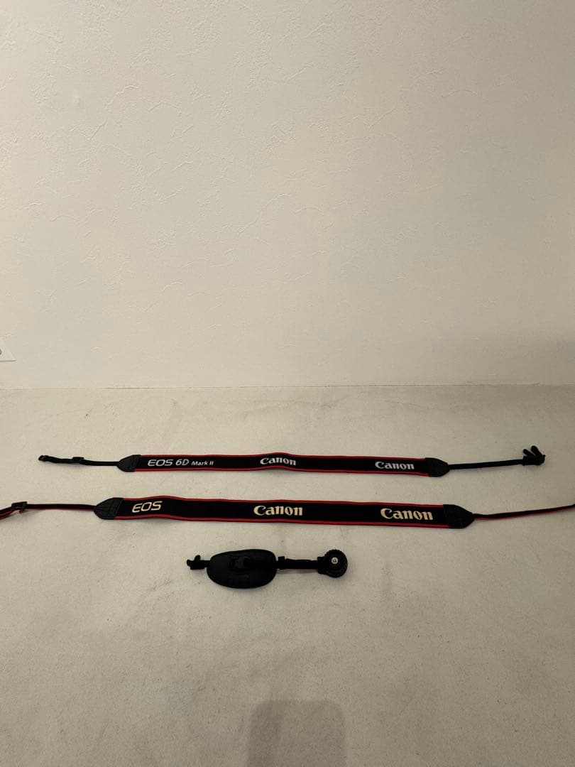 デジタルカメラ Canon EOS 6D Mark II