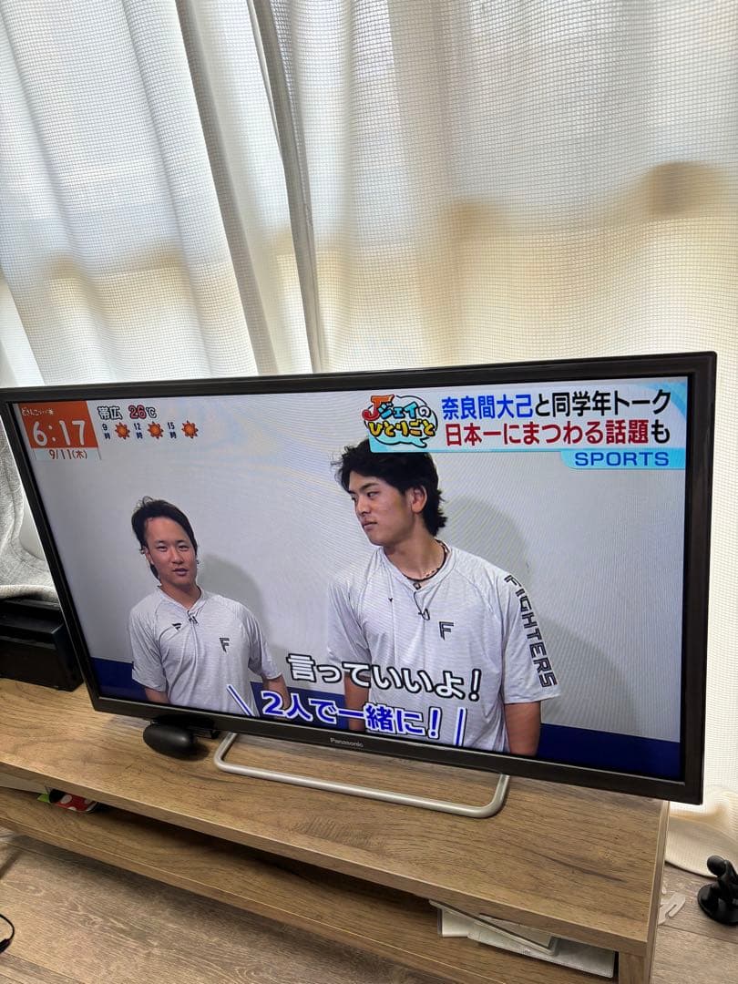 Panasonic TH-32ES500-S 32インチ液晶テレビ