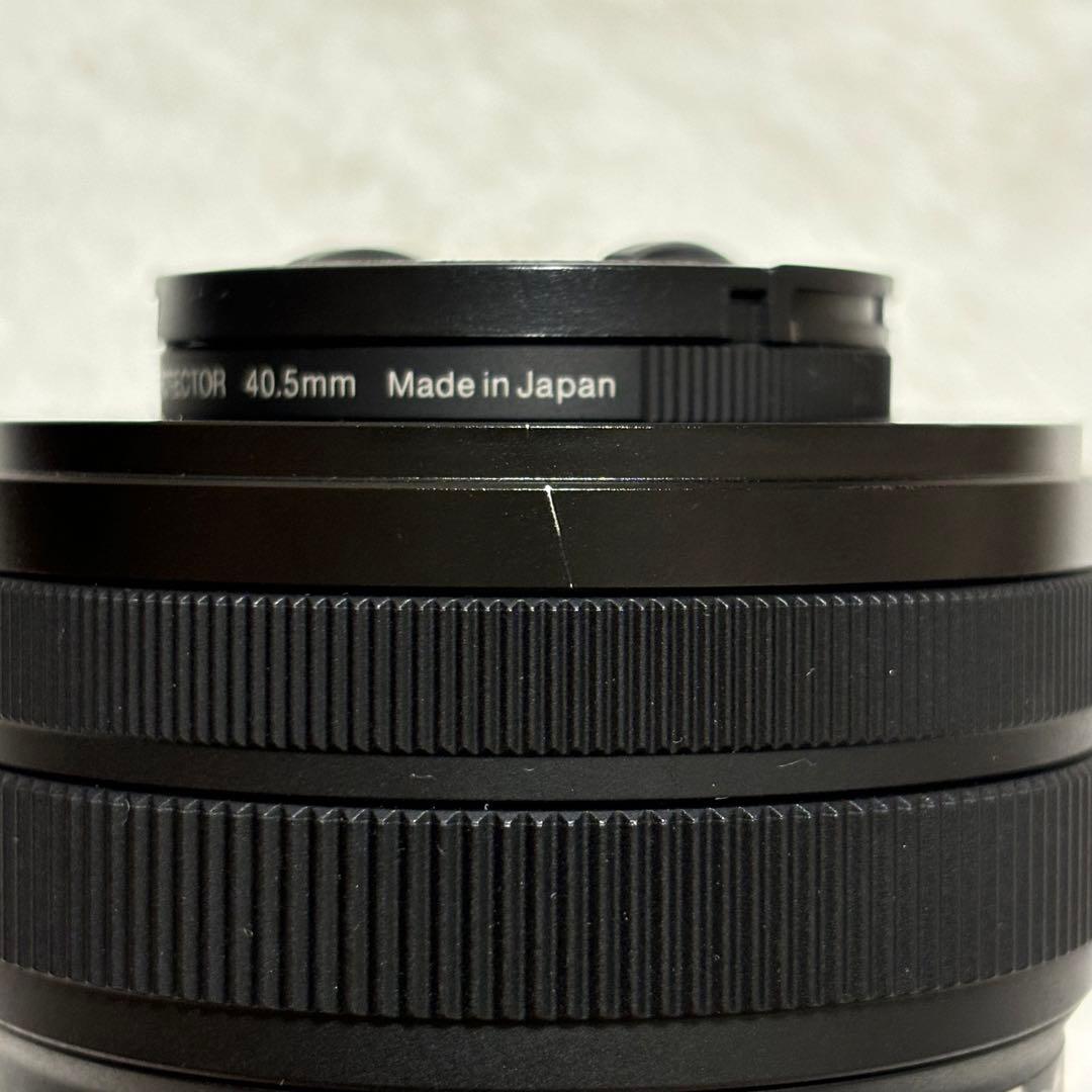 値下【美品】SONY FE4-5.6/28-60 SEL2860 ズームレンズ