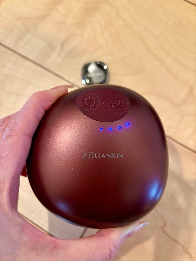 【美品】ZOGANKIN ゾーガンキンスカルプ