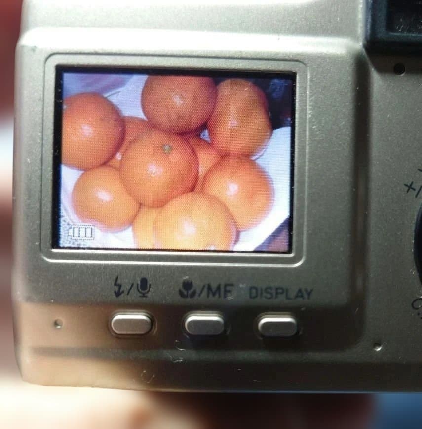 中古かつ動作品かつ美品「CONTAX TVS DIGITAL」＋付属品