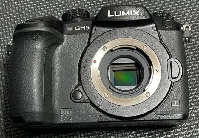 Panasonic GH5 レンズキット VARIO 14-140mm