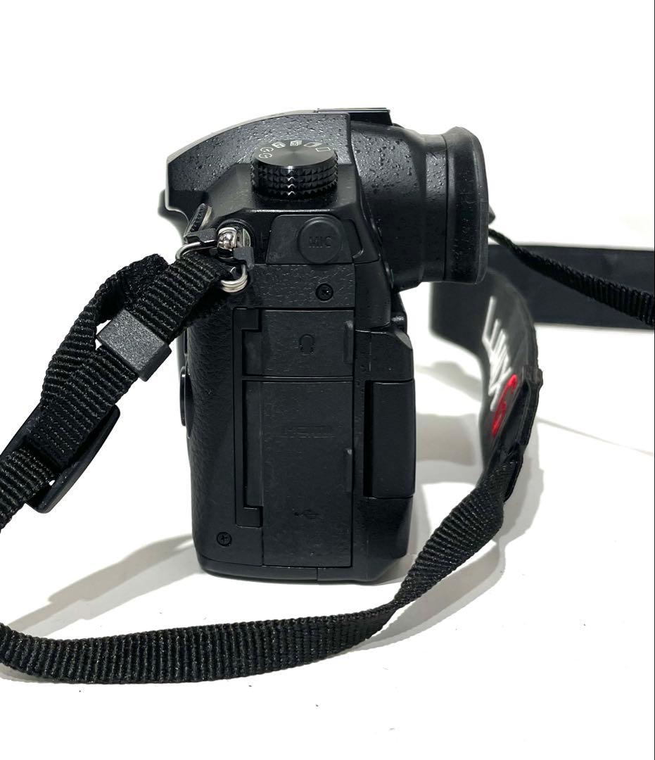 デジタルカメラ LUMIX DC-GH5 SUMMILUX 1:1.7/9 ASPH.55