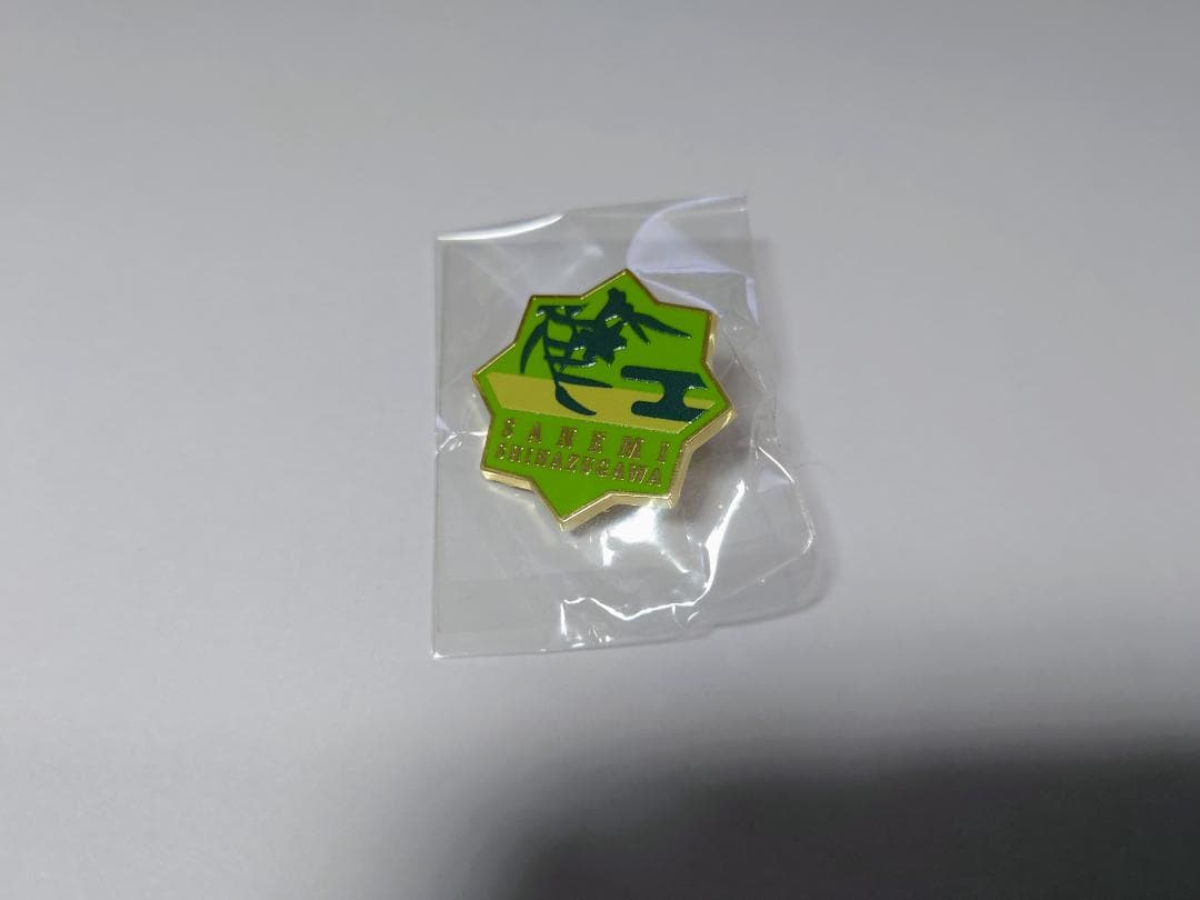 鬼滅の刃 柱展 柱百景 コレクションピンズ 不死川実弥 - メルカリ