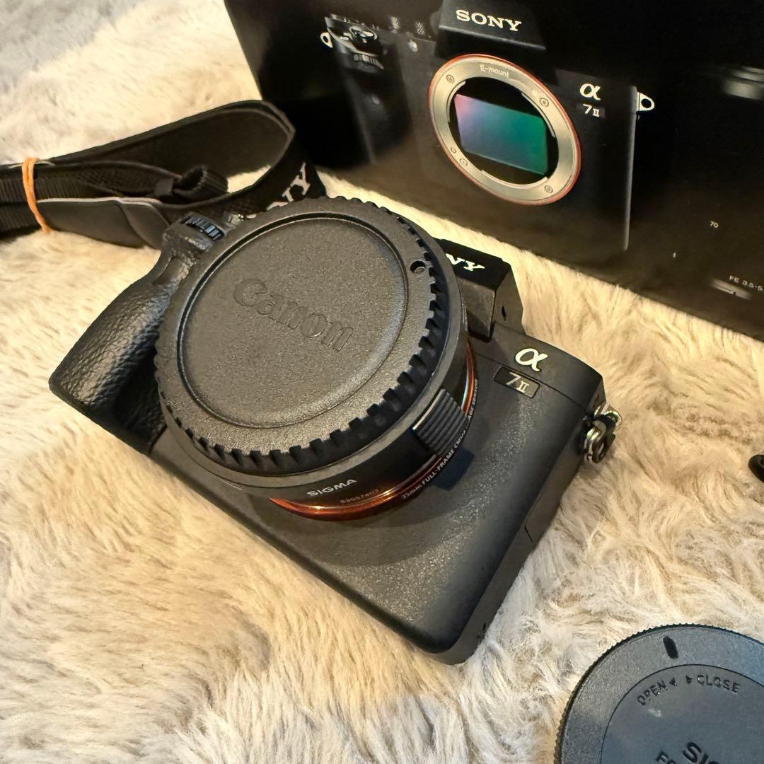 SONY α7II SIGMA Canon EF コンバータ　レンズセット