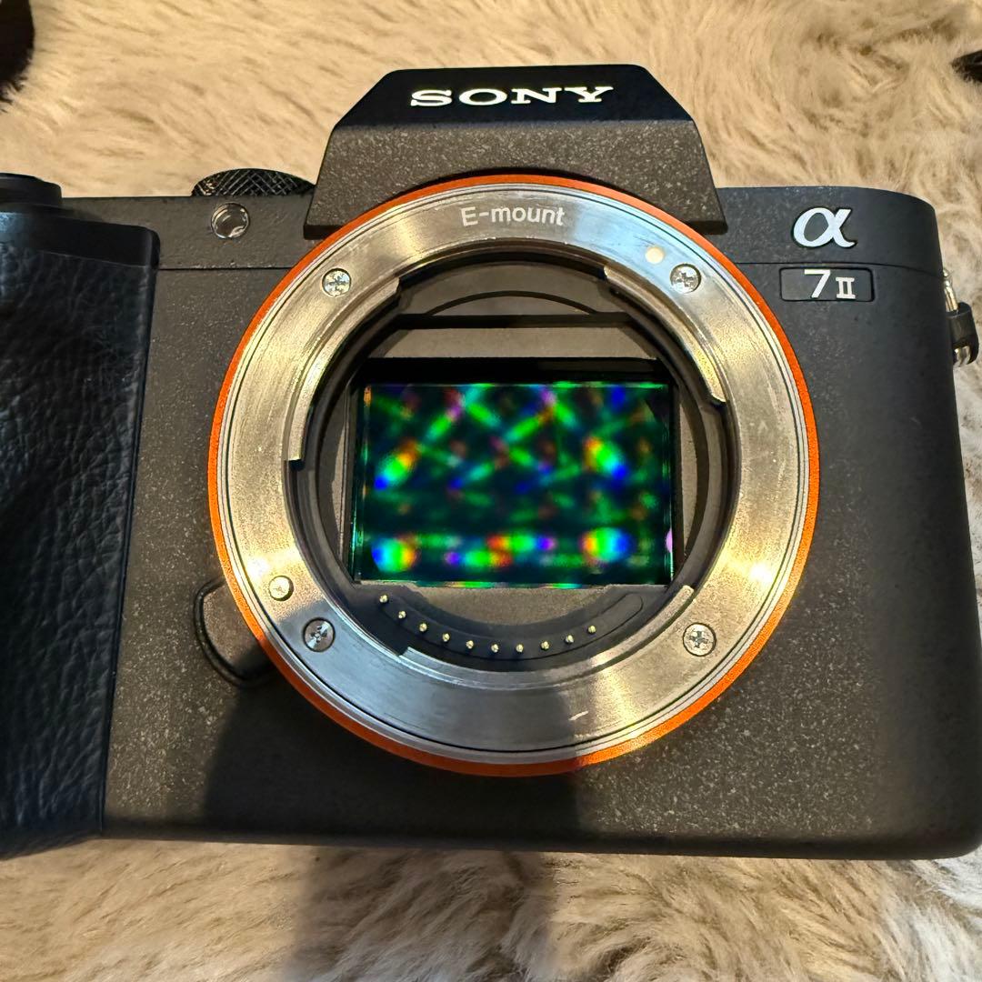 SONY α7II SIGMA Canon EF コンバータ　レンズセット