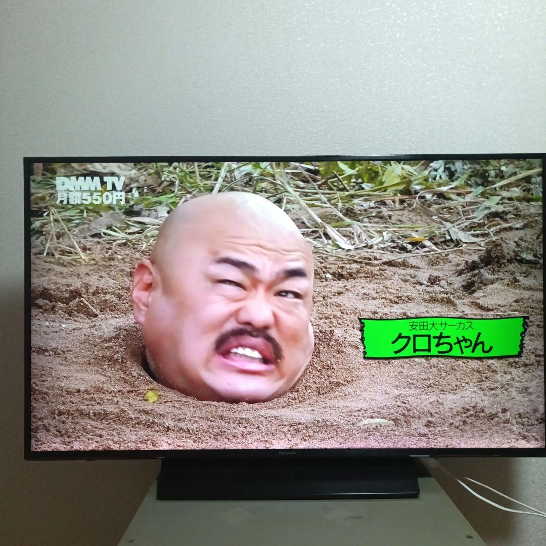 Panasonic[2018年製品]TH-49FX750