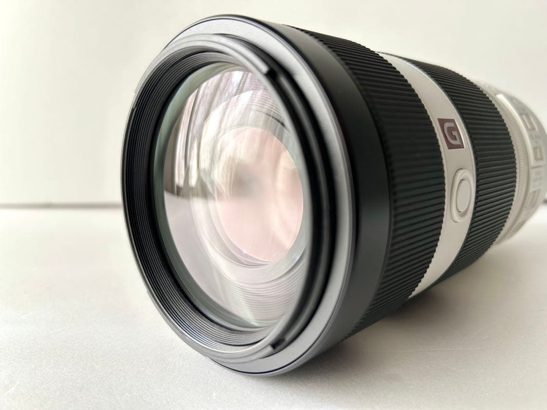 s*m様 SONY FE 100-400mm F4.5-5.6 GM OSS
