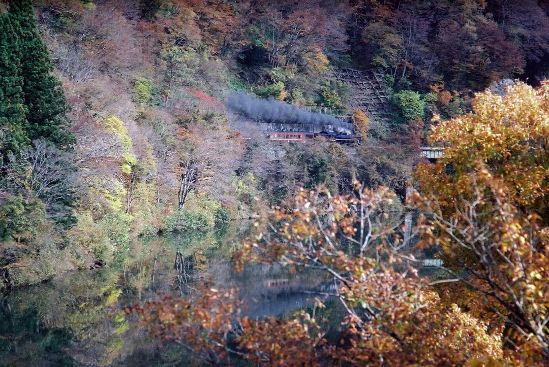 「実写確認整備品」イハゲーEXA／パンカラー50mmf2ゼブラ仕様L37付