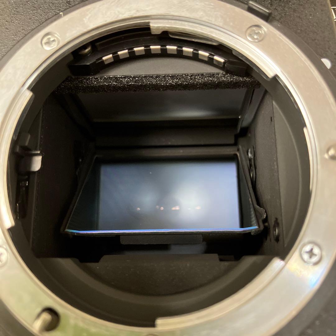 Nikon ニコン F5 本体のみ ボディのみ 説明書有り