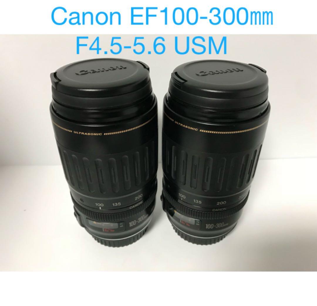 （2セット）望遠レンズ/Canon EF100-300㎜F4.5-5.6 USM