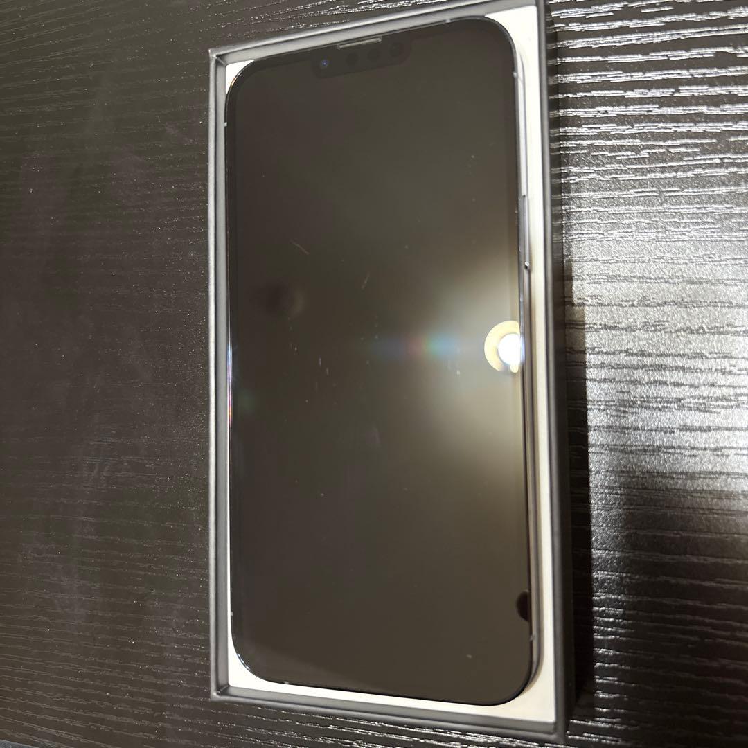 Apple iPhone13ProMax シエラブルー