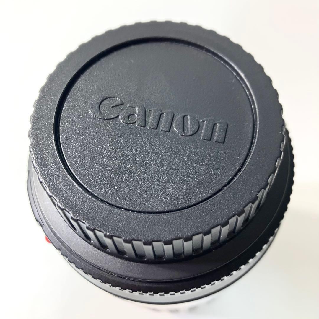 【美品】 Canon EF 75-300mm キャノン 望遠レンズ カメラ