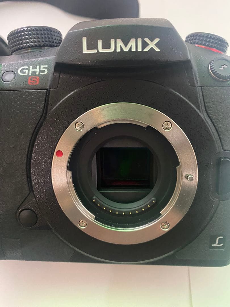 LUMIX GH5s ミラーレスカメラ 本体と付属品