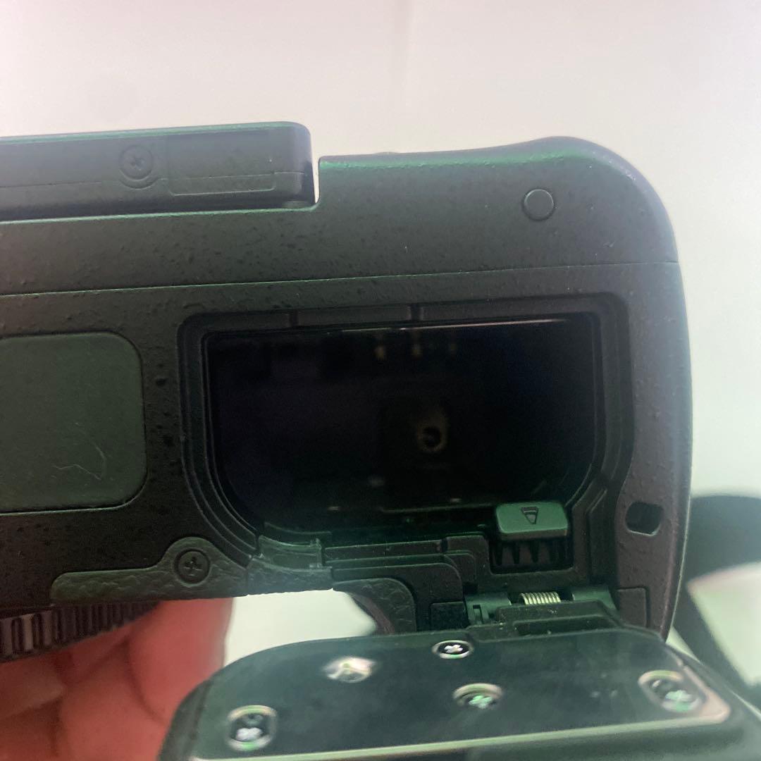 LUMIX GH5s ミラーレスカメラ 本体と付属品