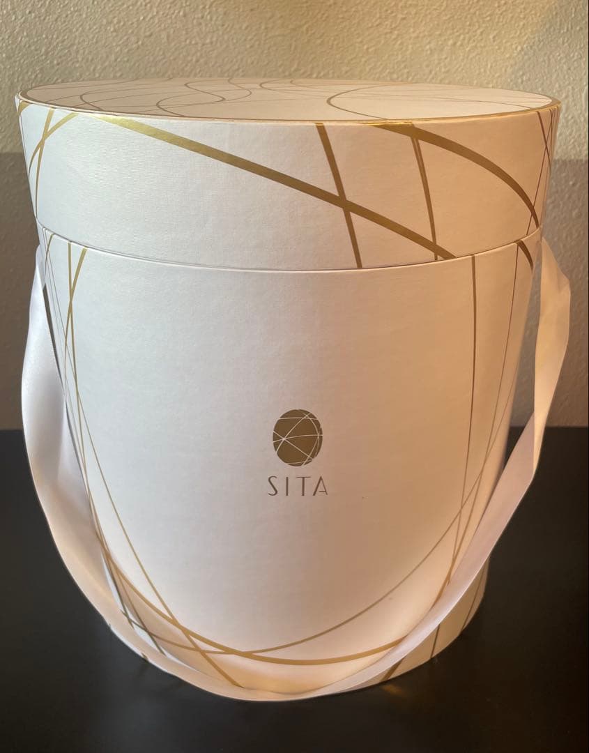 最終値下げ　送料込　SITA フェイススチーマー 未使用