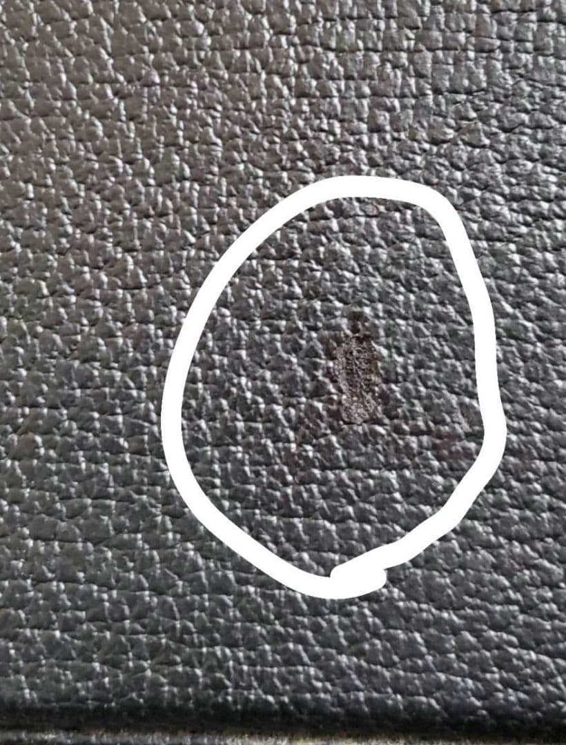 三線ケース 二丁入れ三線ケース ハードケース 三線ハードケース