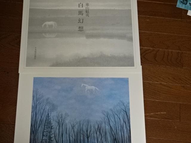 東山魁夷 画集 白馬幻想 日本経済新聞社 - メルカリ