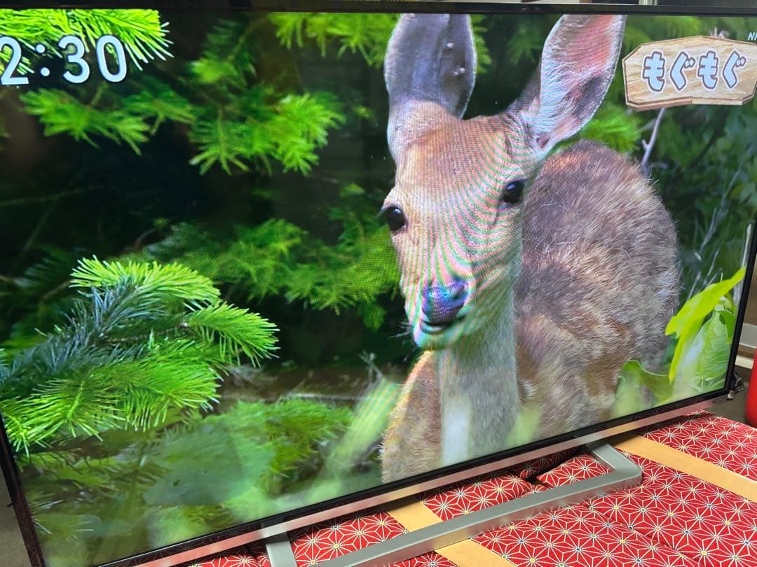 TOSHIBA LED REGZA 50G9 50型　超美品