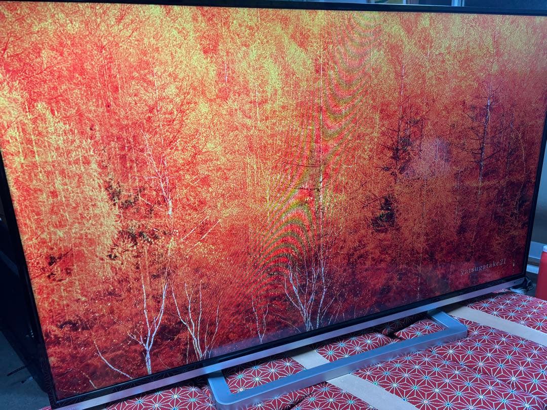 TOSHIBA LED REGZA 50G9 50型　超美品