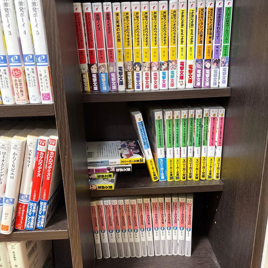 ライトノベル詰め合わせ 【206冊】 - メルカリ