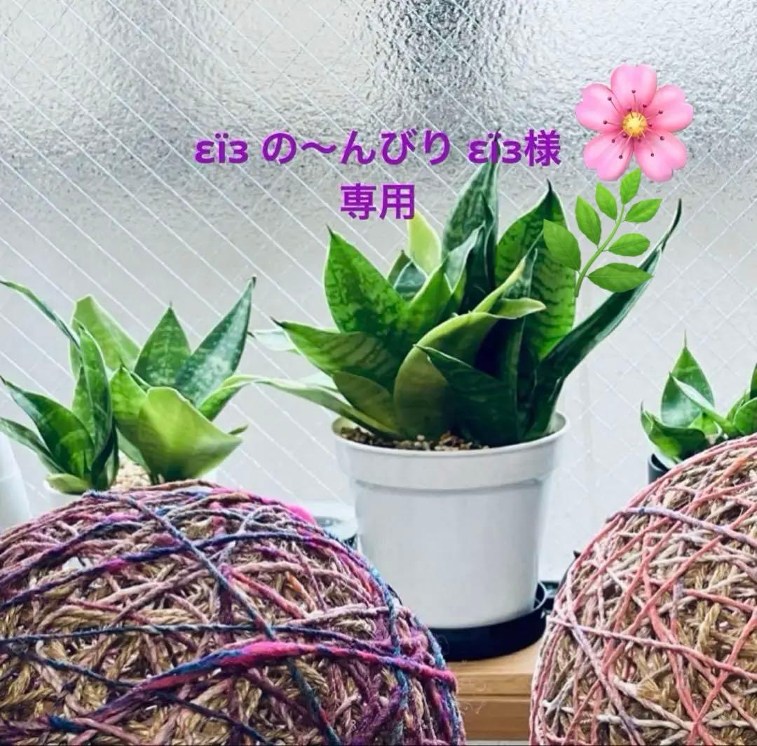 εïз の〜んびり限定品❗️超レアパネル合格祈願ポメラニアンお守り片面11枚 身体健康・学業成就祈願お守り☆紺色☆｜白崎八幡宮