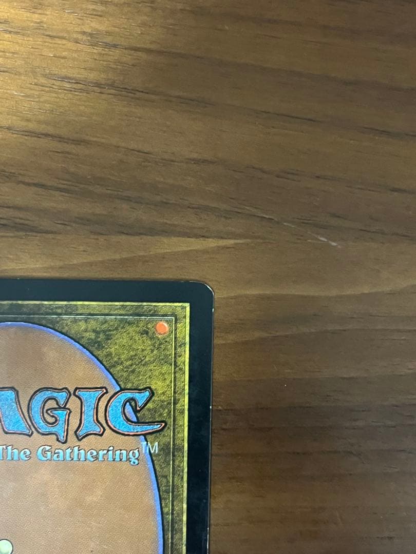 MTG 日本語 錯乱した隠遁者 エラーカード - メルカリ