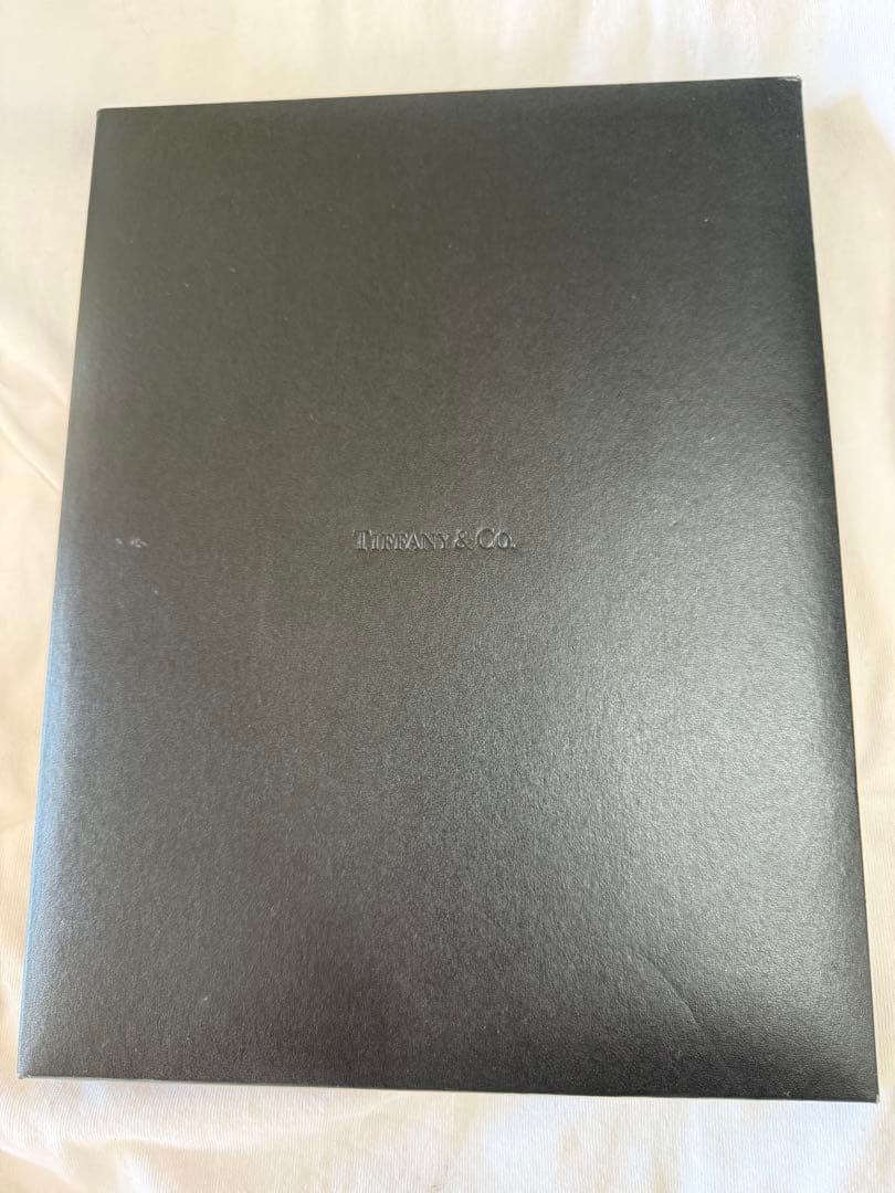 TIFFANY&Co. プリンセスカット 0.22ct PT950 US4