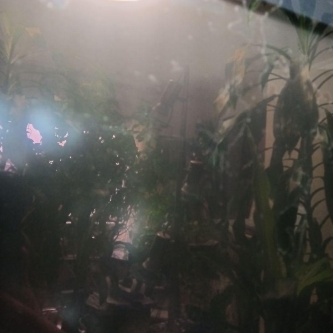 SONY XL-2000J テレビ周辺機器　プロジェクションテレビランプユニット