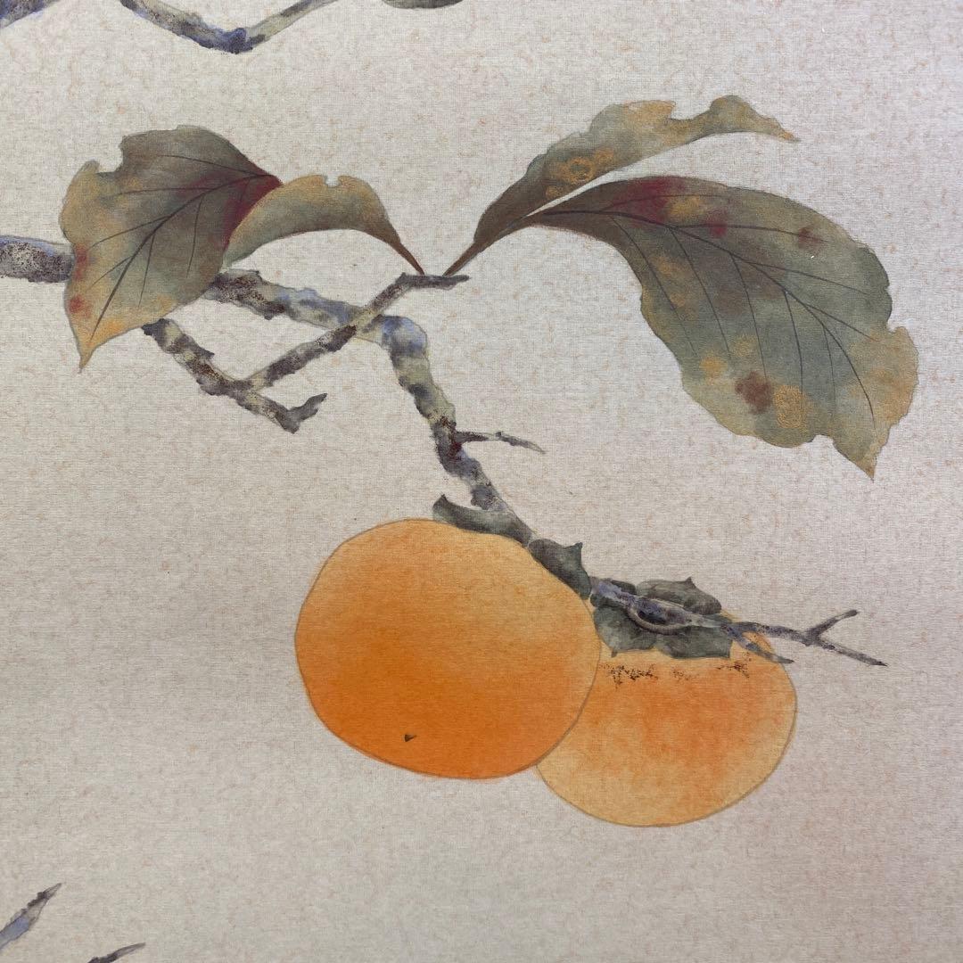 美品 掛け軸 柳沢寿江作 柿図 花鳥 共箱 太巻き 縁起物