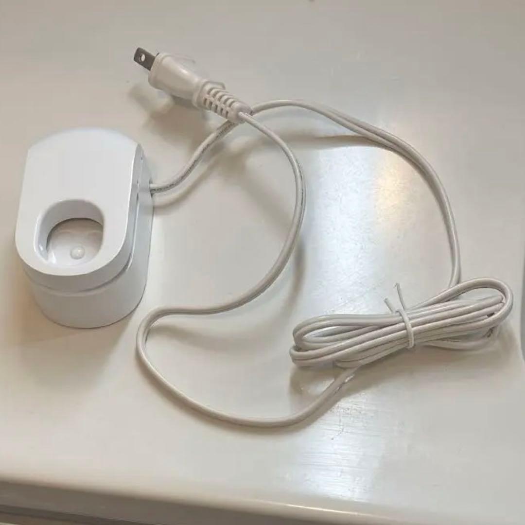 Panasonic ドルツ 3モード電動歯ブラシ 変えブラシ付属