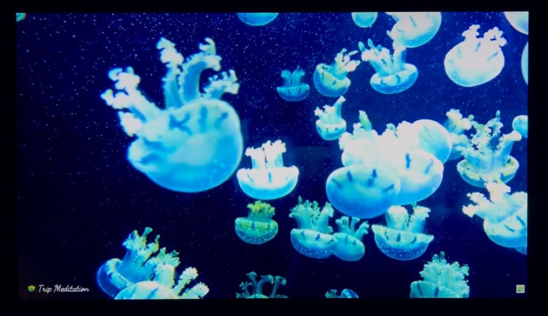 Apple Thunderbolt Display 27インチ 本体