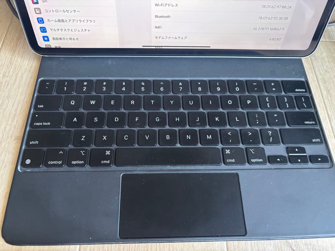 iPad Pro 第四世代　256GB セルラーモデル　純正パッド付き