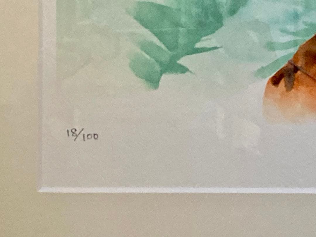 いのまたむつみ 新世紀GPXサイバーフォーミュラ 菅生あすか アスカ