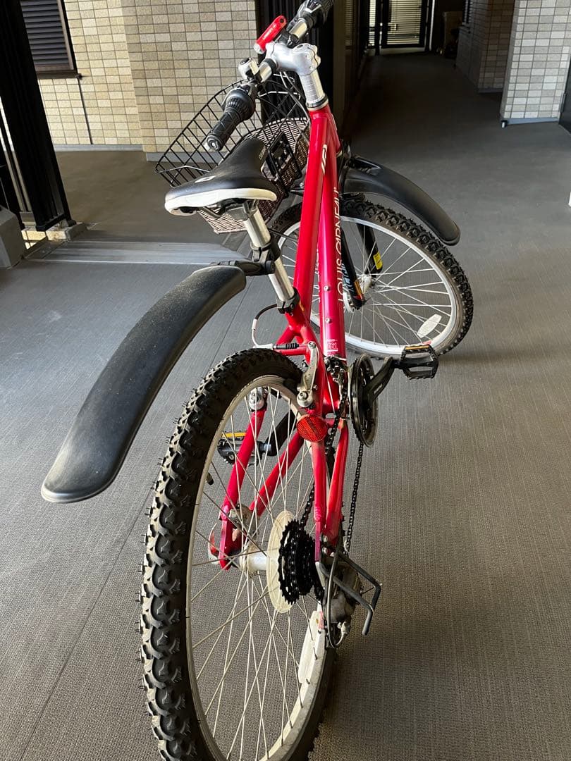 武蔵野市、三鷹市内手渡し希望、ルイガノ、子供用自転車24インチ