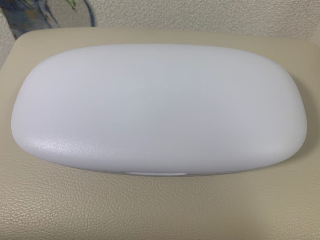 モイスティーヌ