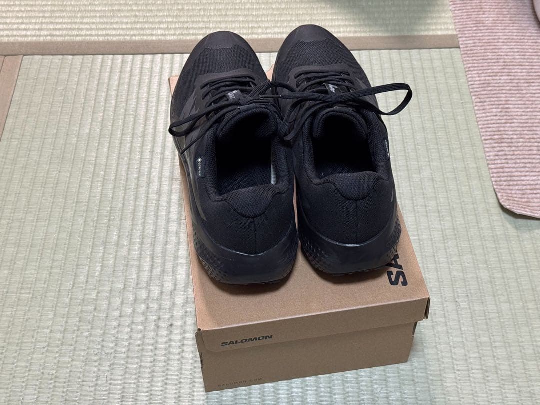 SALOMON(サロモン) ALPHA GLIDE GTX 29.0cm