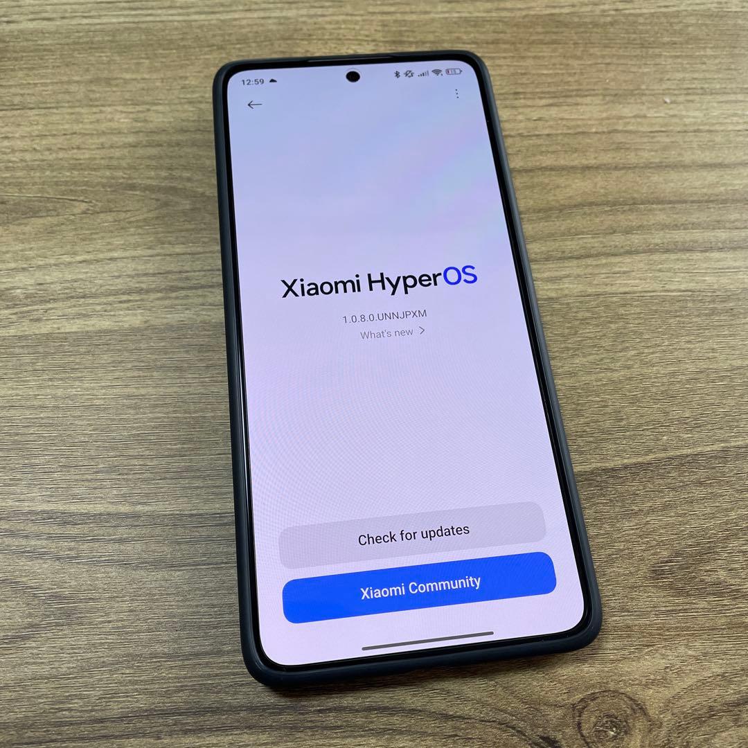 【国内版】Xiaomi 14T Proチタングレー 256GB