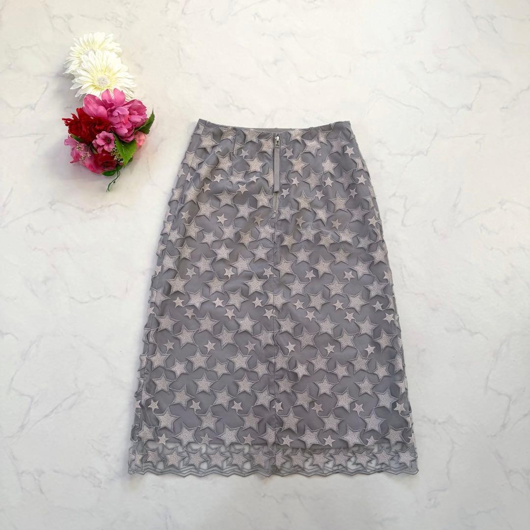 ANAYI アナイ スターエンブロイダリーAライン スカート 星 刺繍 36