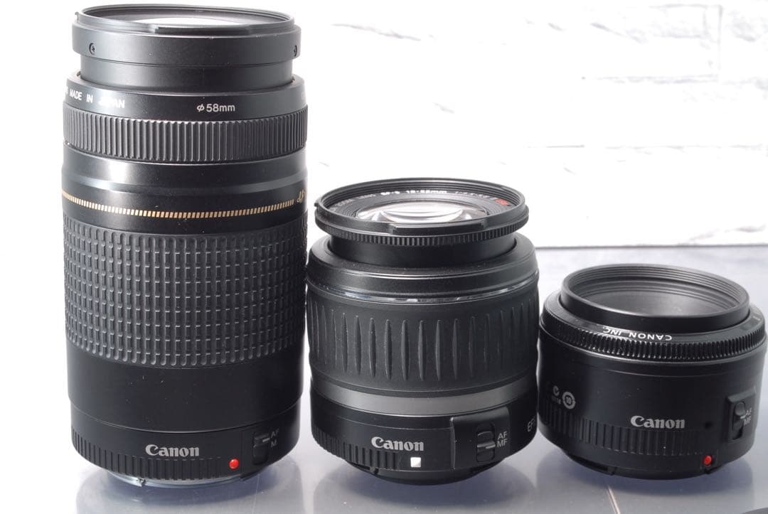 Canon EOS 80D トリプルレンズキット 単焦点 望遠レンズ Wi-Fi