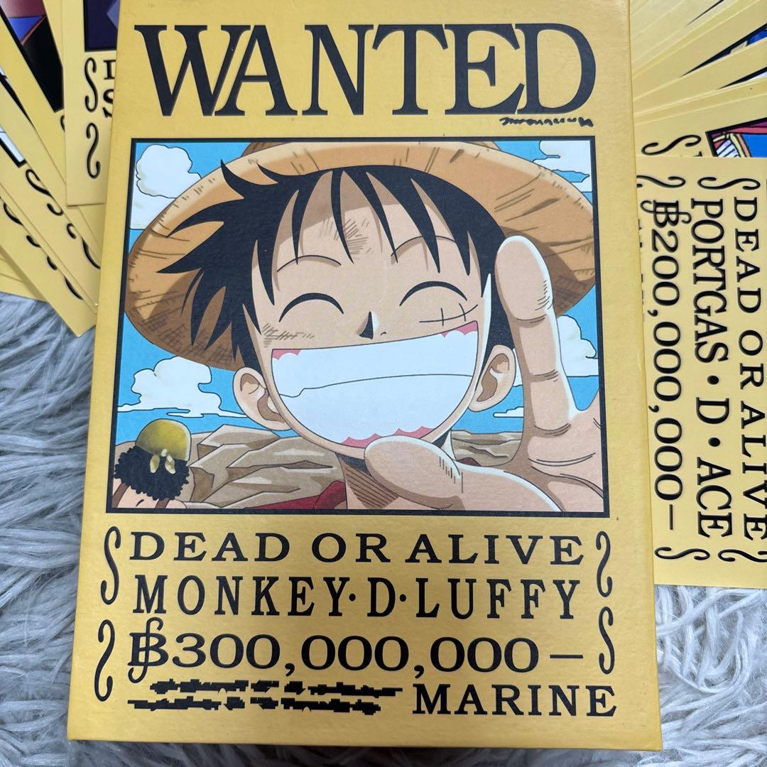 希少】ワンピース アニメ10周年記念 手配書BOX ポストカード 48枚