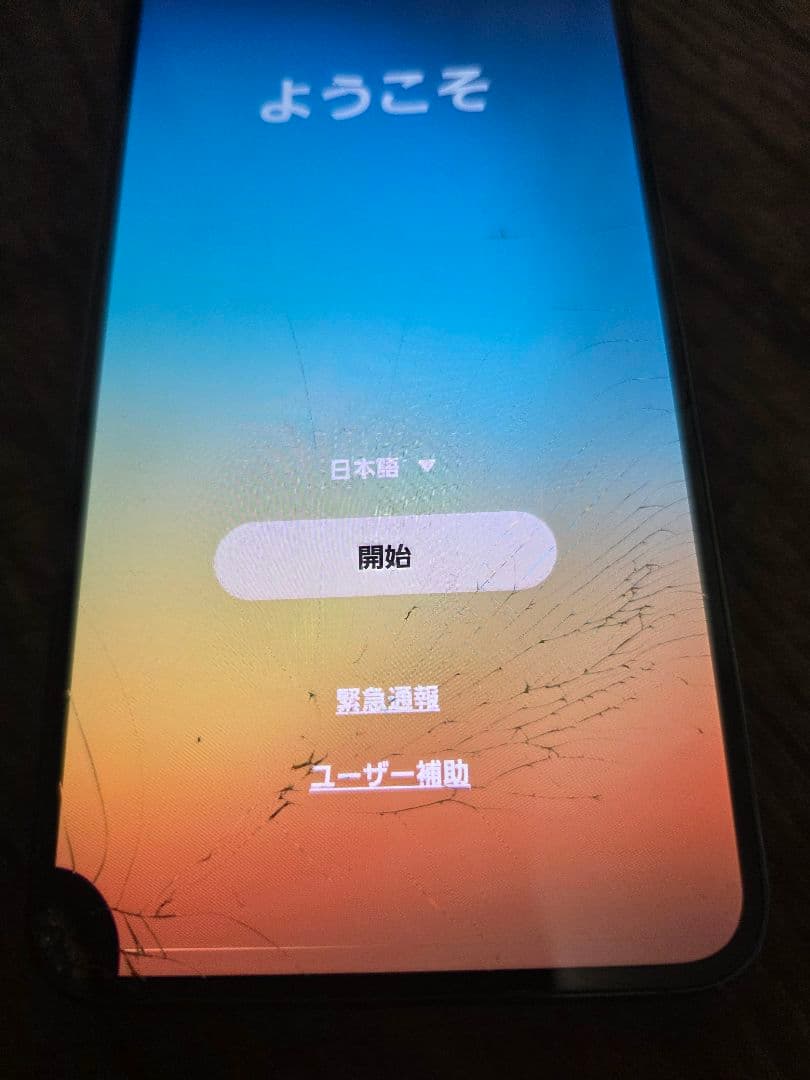 しーちゃんママν＾）