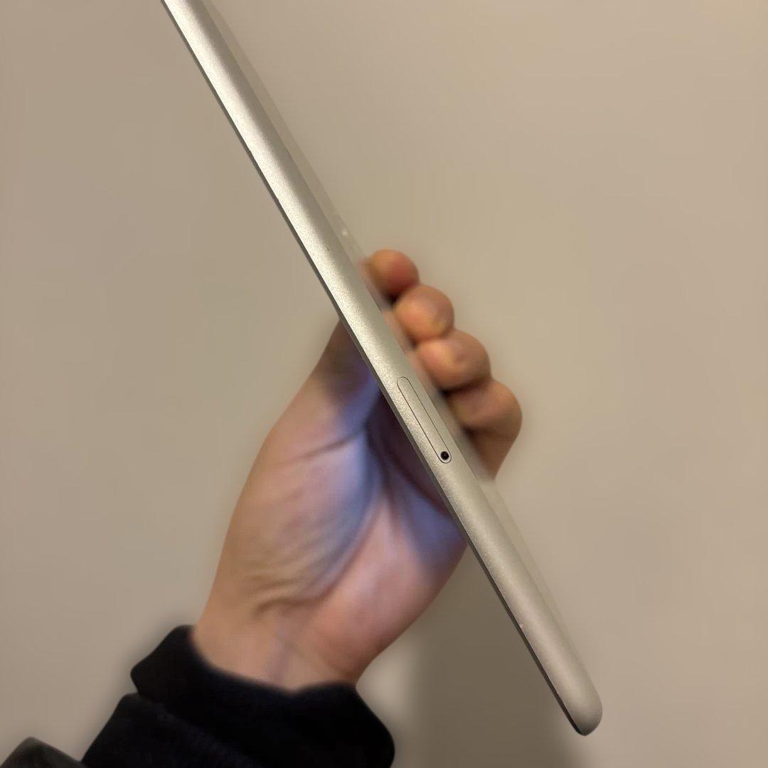 iPad mini 第5世代 256GB SIMフリー Type-C改造品 - メルカリ