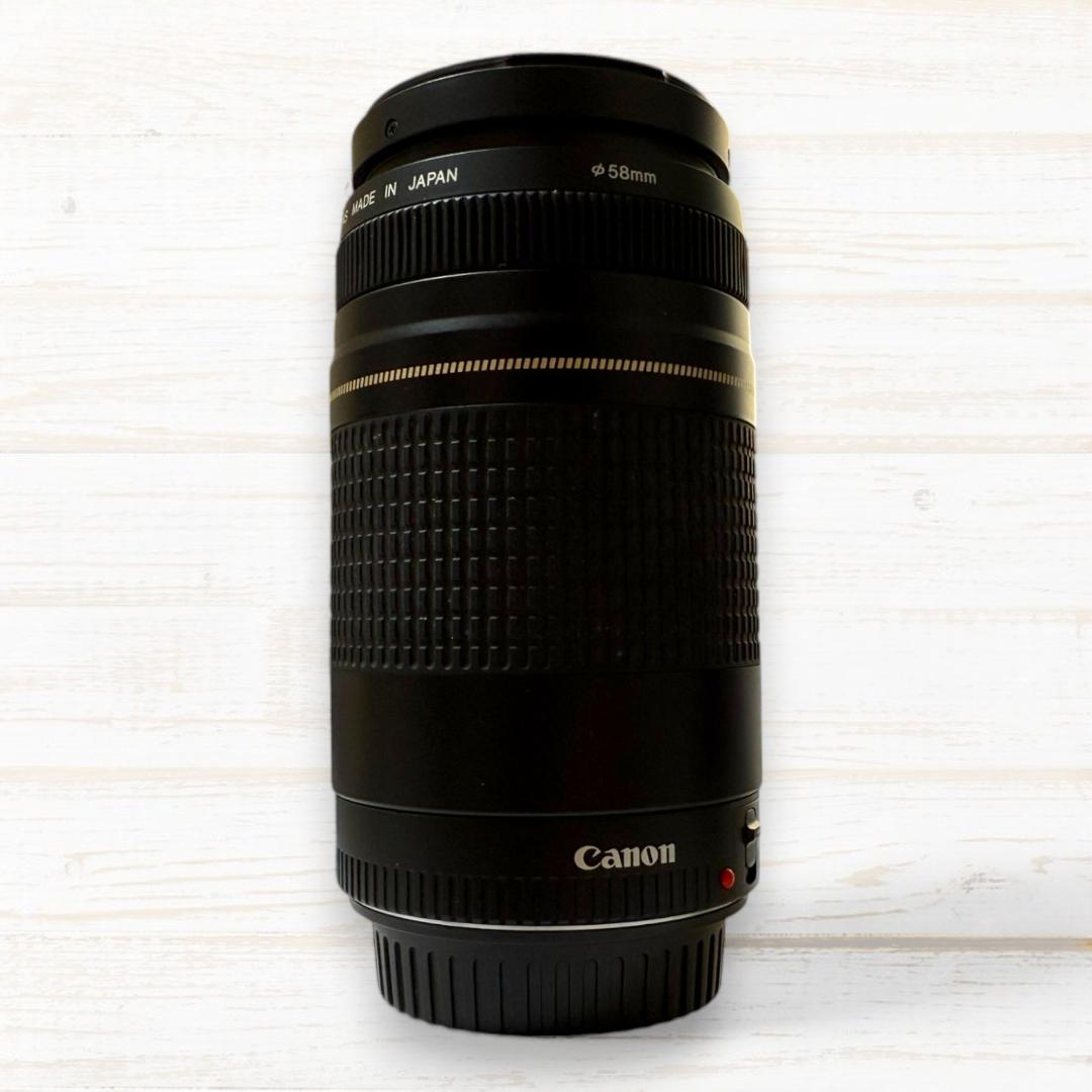 Canon ズームレンズ EF 75-300mm II USM