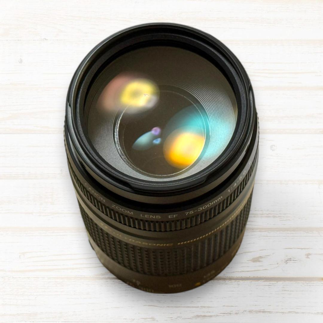 Canon ズームレンズ EF 75-300mm II USM